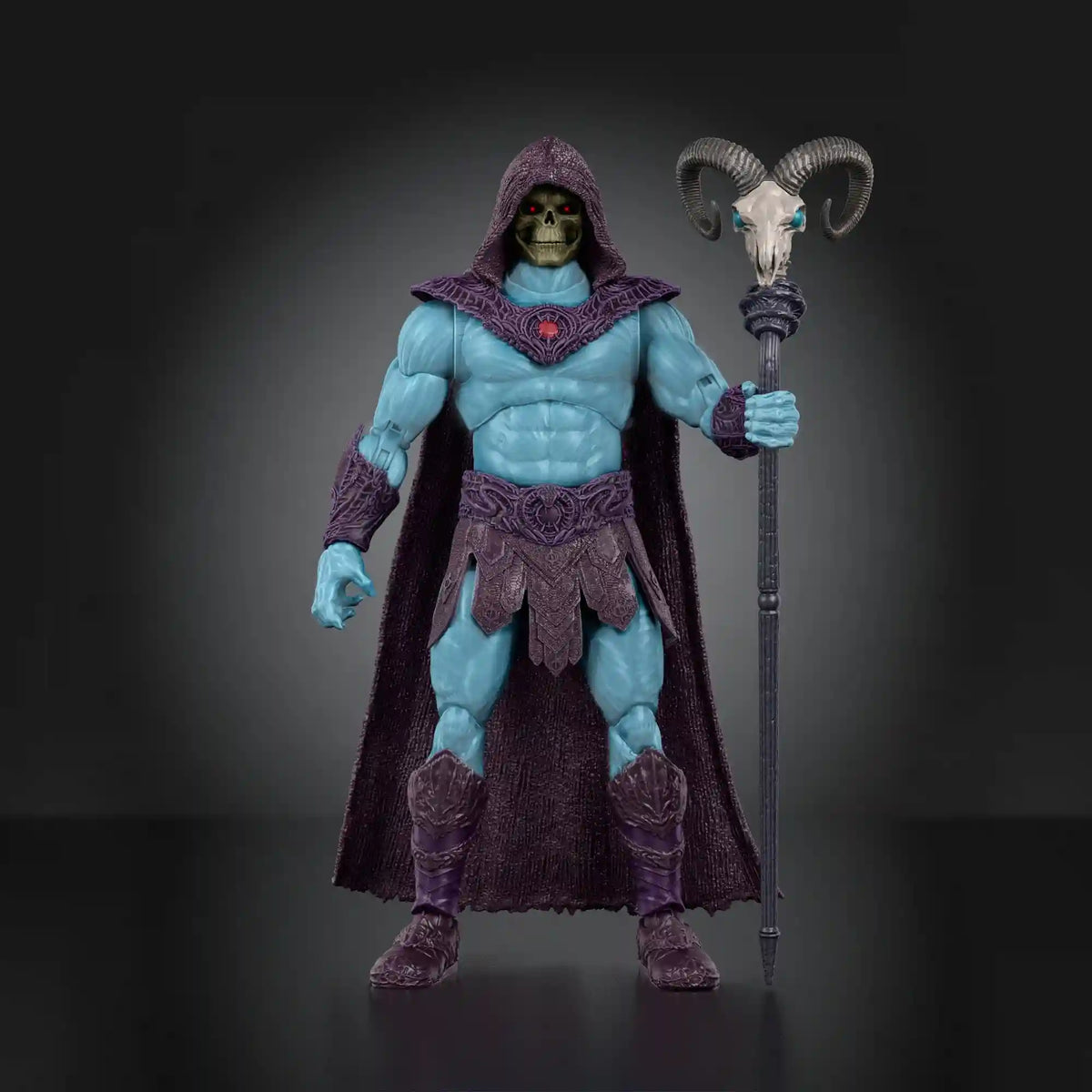 Masters of the Universe Action Figure Chronicles Skeletor Action Figure