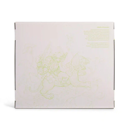James Jean Floral He-Man and Battle Cat
