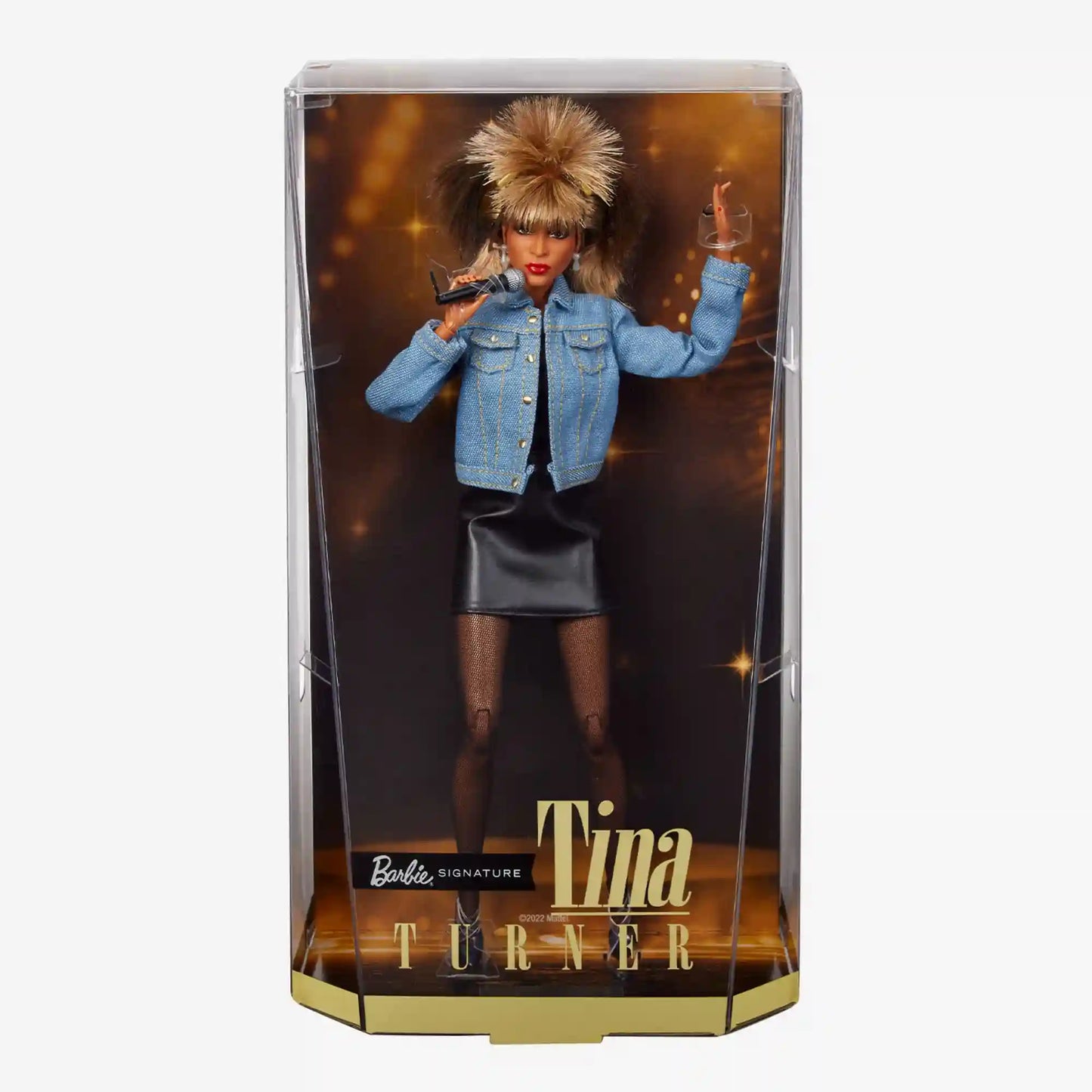 Barbie Signature Music Series Tina Turner Doll